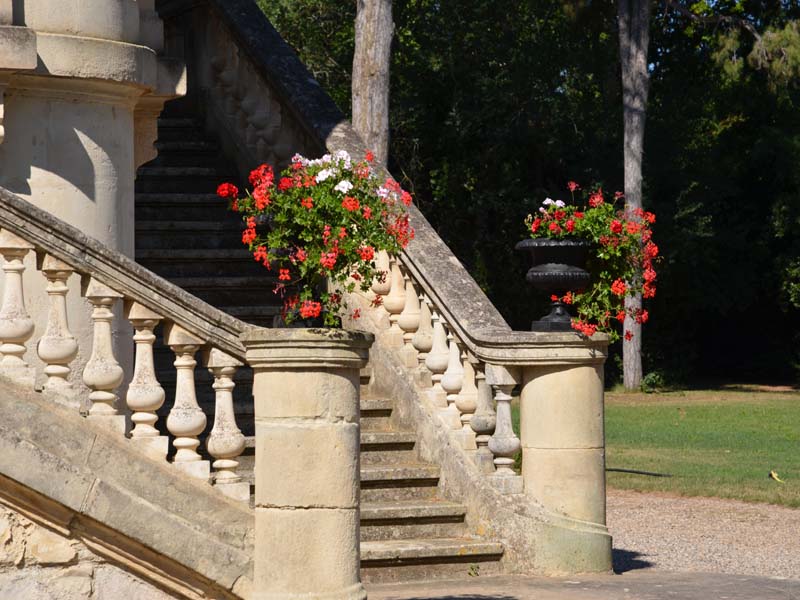 Château de Saint Louis_34550 BESSAN_14